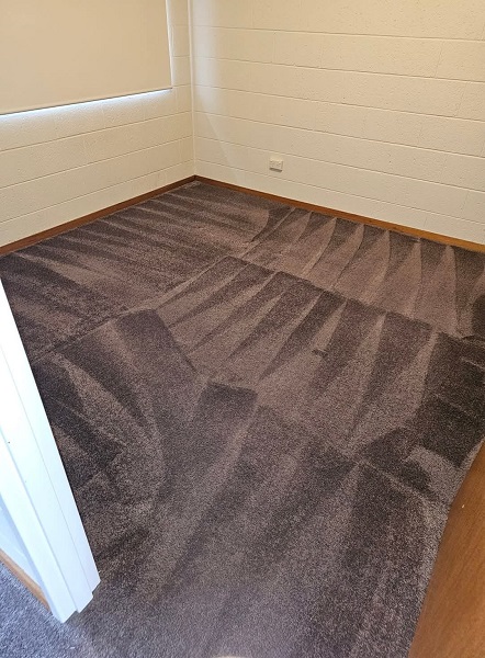 Carpet steam cleaning